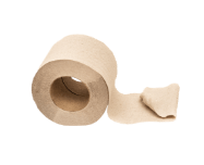 Toilettes (espace sanitaire) / Papier toilette
