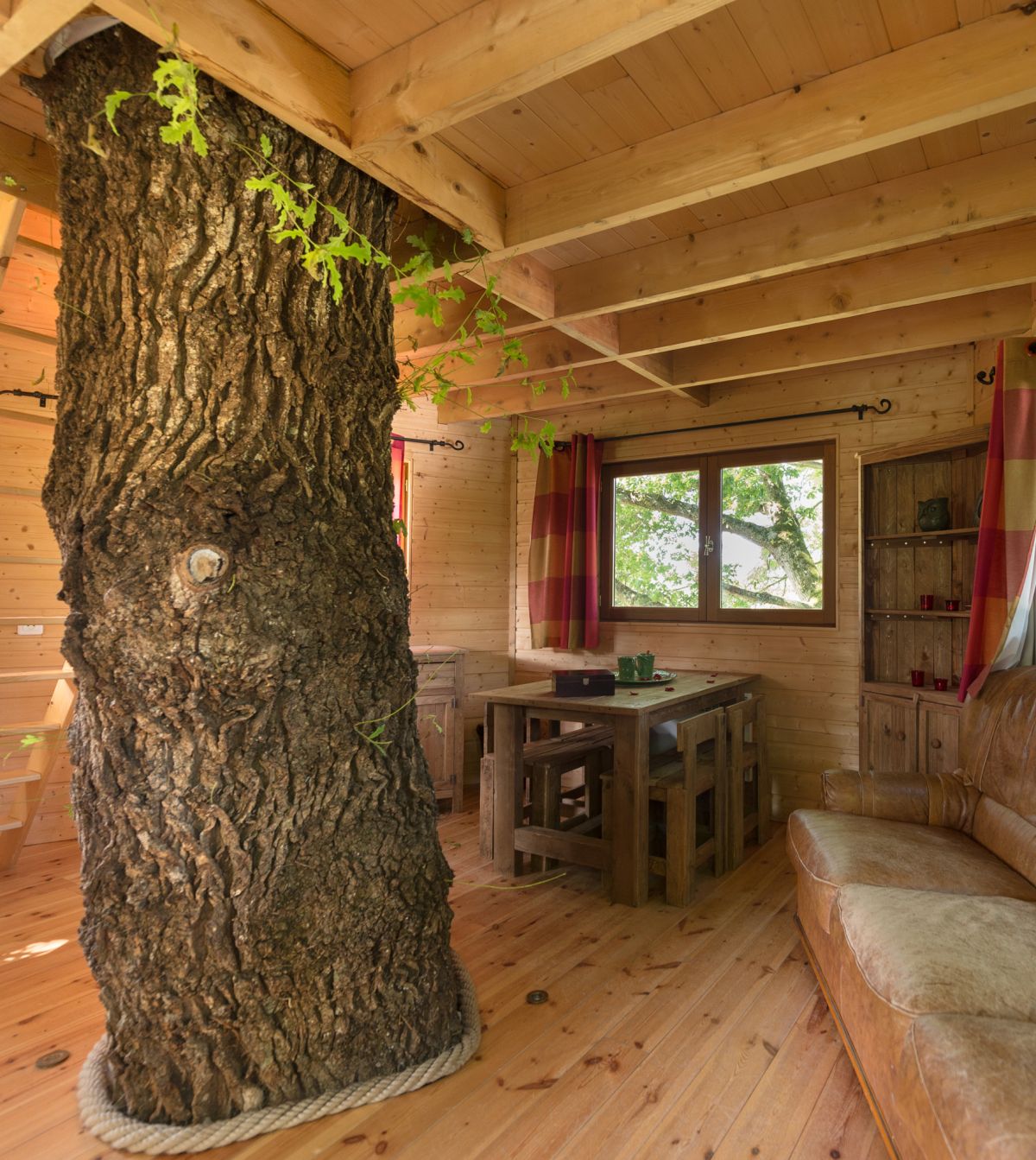 Vivez au coeur d'un arbre, dans une cabane du Domaine Arvor en Bretagne ! Vivez au coeur d'un arbre, dans une cabane du Domaine Arvor en Bretagne !