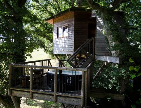 Cabane dans les arbres