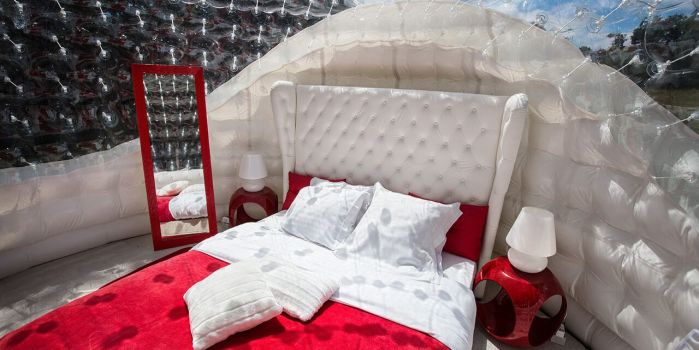 La Red Bubble