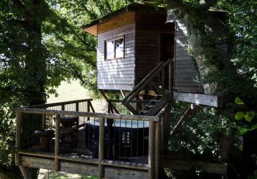 Cabane dans les arbres