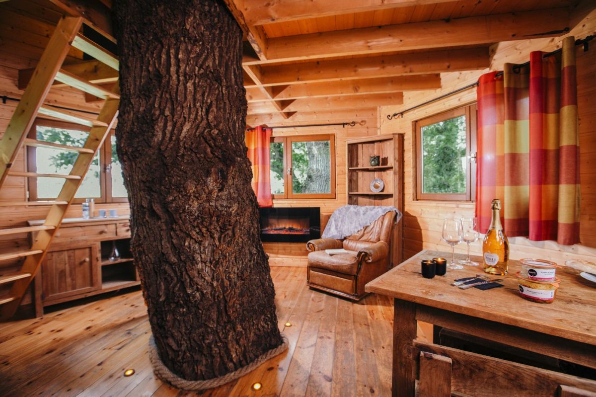 Le charme d'un s&eacute;jour en cabane dans les arbres, en Bretagne