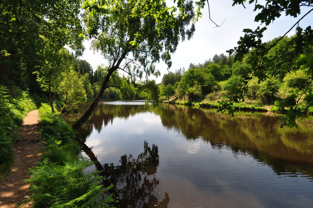 Balade en for&ecirc;t lors d'un s&eacute;jour insolite en Bretagne