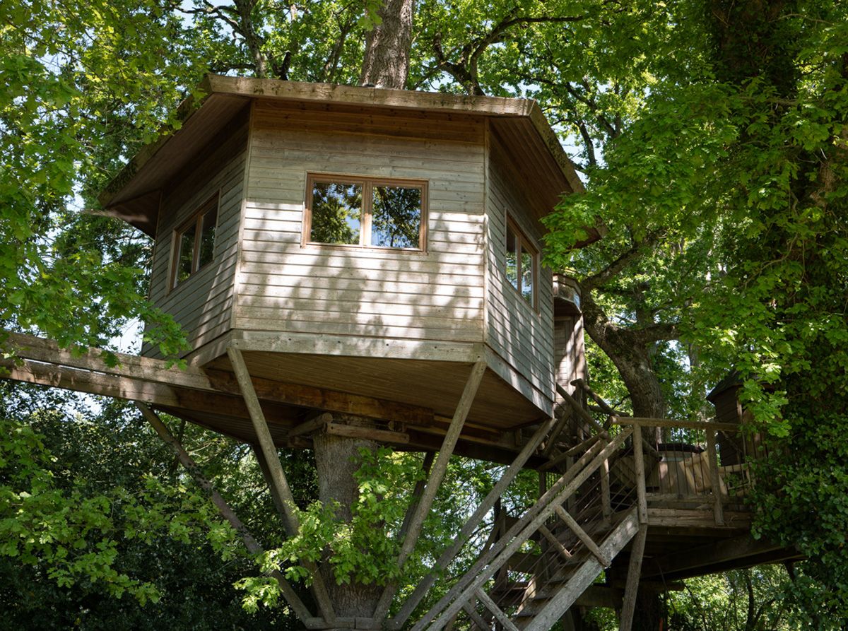 Quel programme pour votre nuit en cabane dans les arbres ?